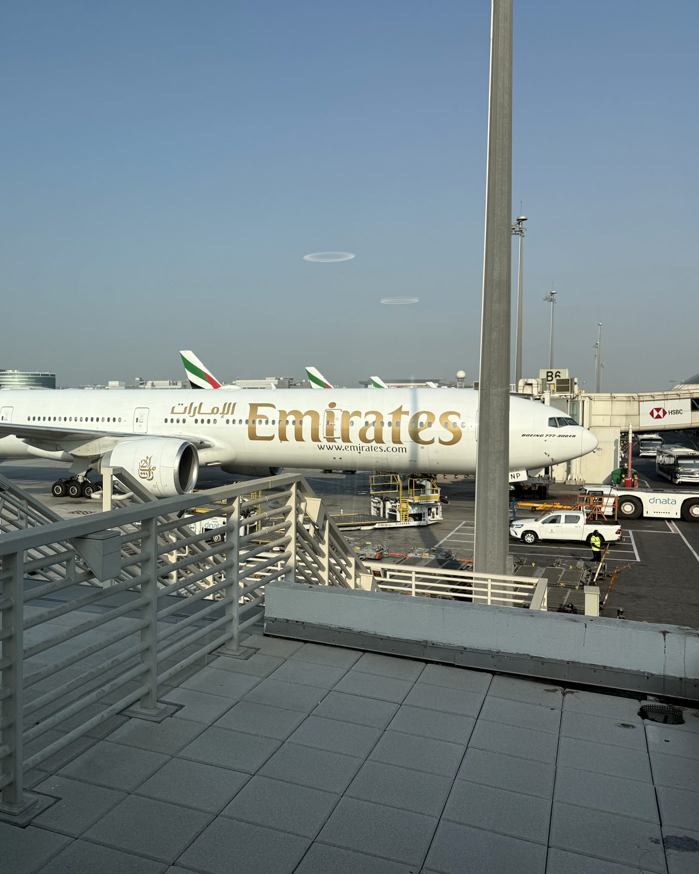 Travel photo by David — The Plane Prince